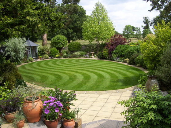 您想擁有豪華等級、舒適完美的草坪嗎？